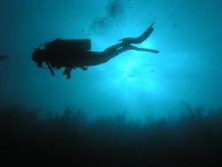 This photo of my wife diving at Moon Hole in Utila, Hondu... by Matt Hogan 